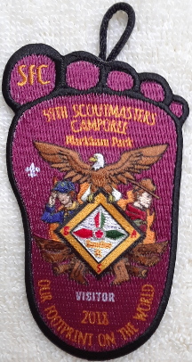 2018 visitor patch